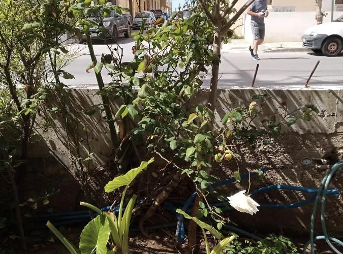 Hrysanthl Apartman *